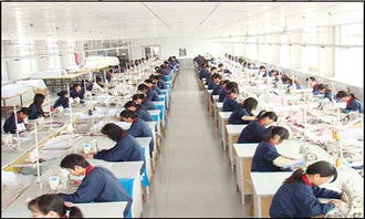 上海春暉旅游用品廠 一站式旅游用品與信息咨詢解決方案